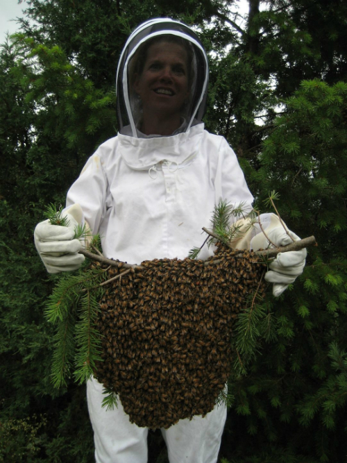 debbie catches_bee_swarm2