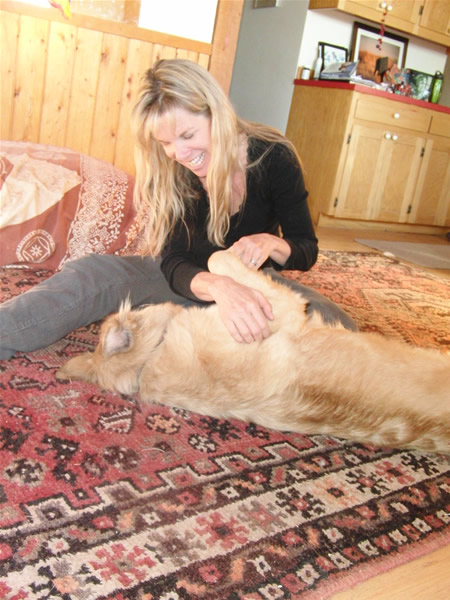 dog2